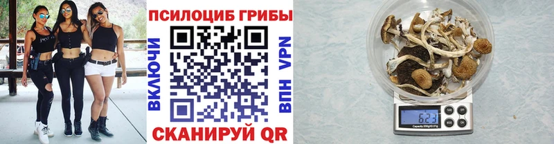 Псилоцибиновые грибы Cubensis  Ак-Довурак 